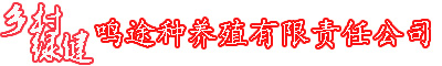 l(xing)G,l(xing),|u,|u,|u-Q;NB(yng)ֳ؟(z)ι˾
